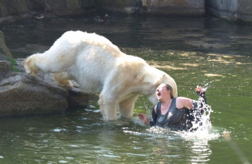 Woman gets mauled by polar bear at the zoo